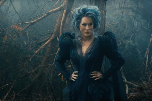 meryl streep into the woods