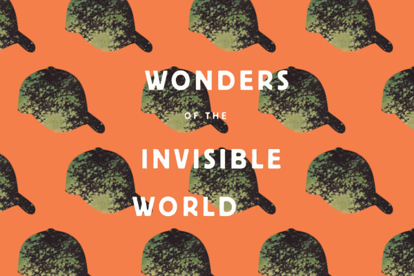 Wonders of the Invisible World Book Review — A mature, but magical young adult novel