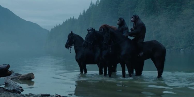 Andy Serkis in Dawn of the Planet of the Apes